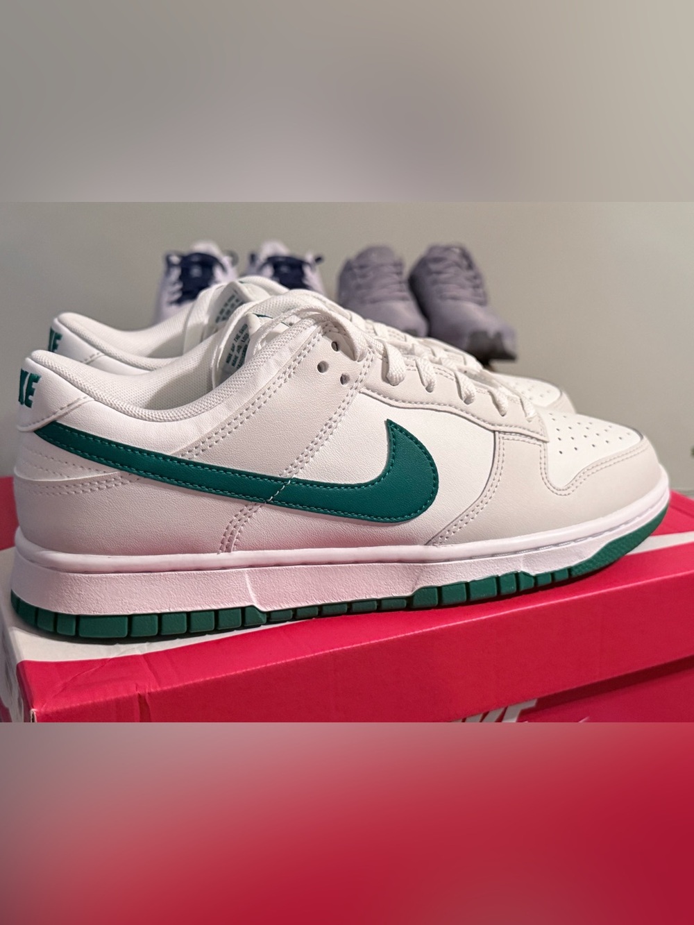 Nike Dunk Low